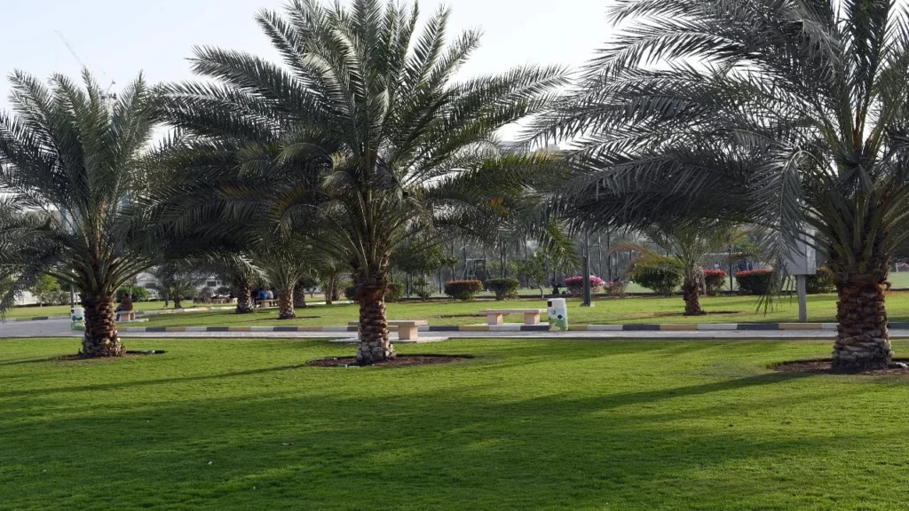 بلدية الشارقة تغلق جميع الحدائق العامة لحين استقرار الحالة الجوية في المدينة